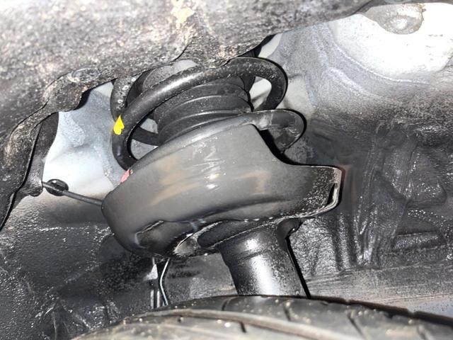 26378701_carP_l_20.jpg