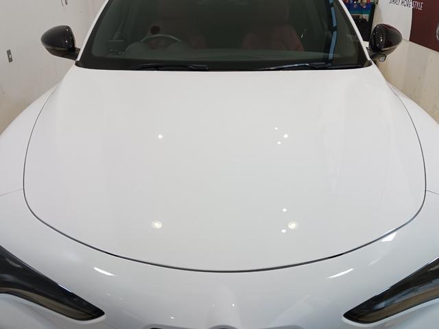 24240066_carP_l_7.jpg