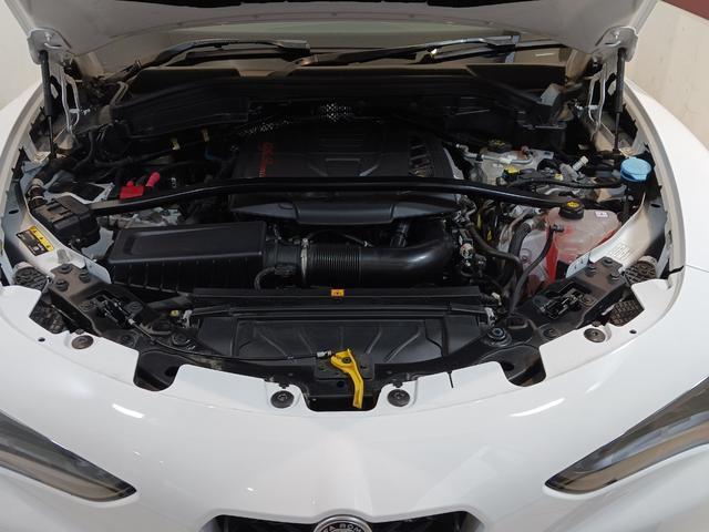 24240066_carP_l_8.jpg