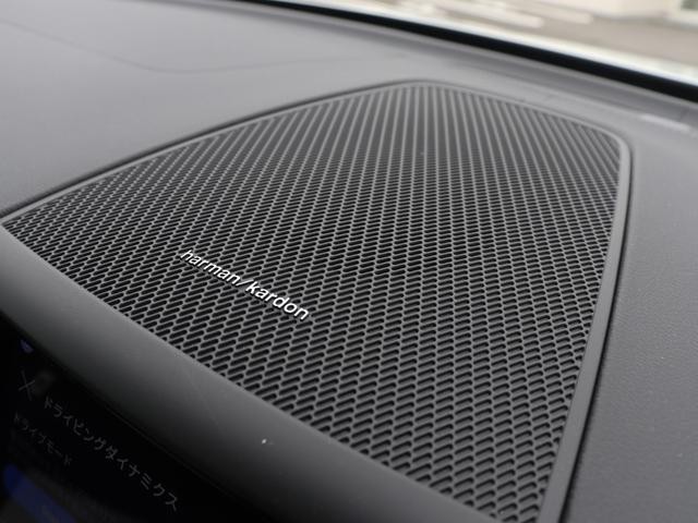 25071160_carP_l_18.jpg