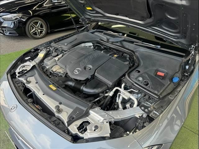 25606402_carP_l_8.jpg
