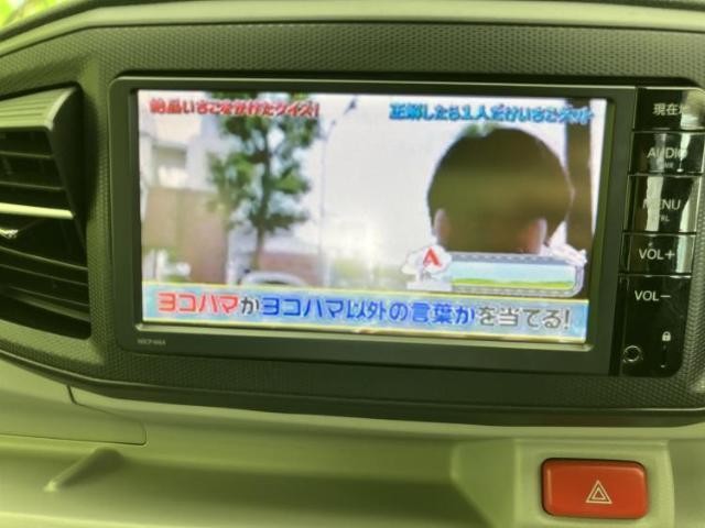 25585999_carP_l_7.jpg