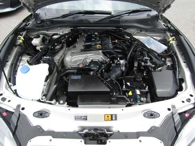 23562154_carP_l_9.jpg
