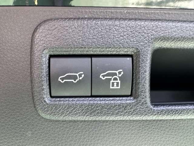 25753221_carP_l_9.jpg