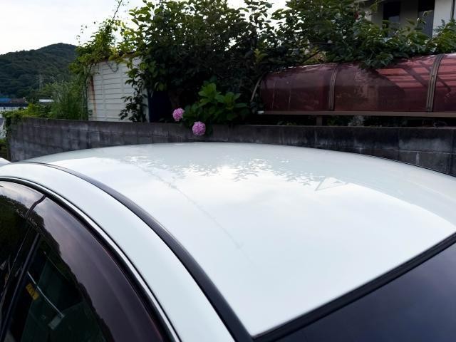 25205453_carP_l_2.jpg