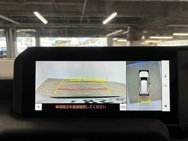 25606410_carP_l_4.jpg