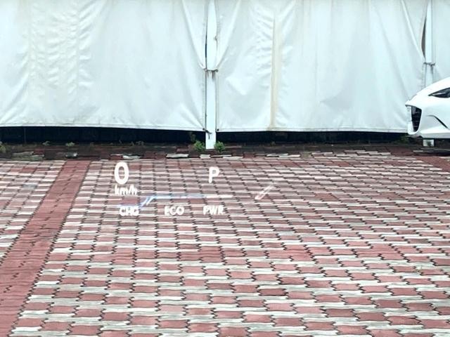 26378844_carP_l_13.jpg