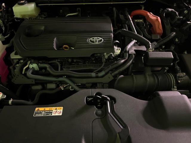 24891499_carP_l_16.jpg