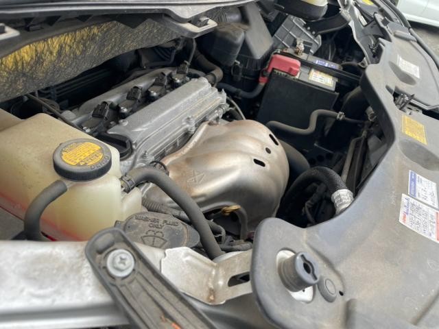 26562867_carP_l_17.jpg