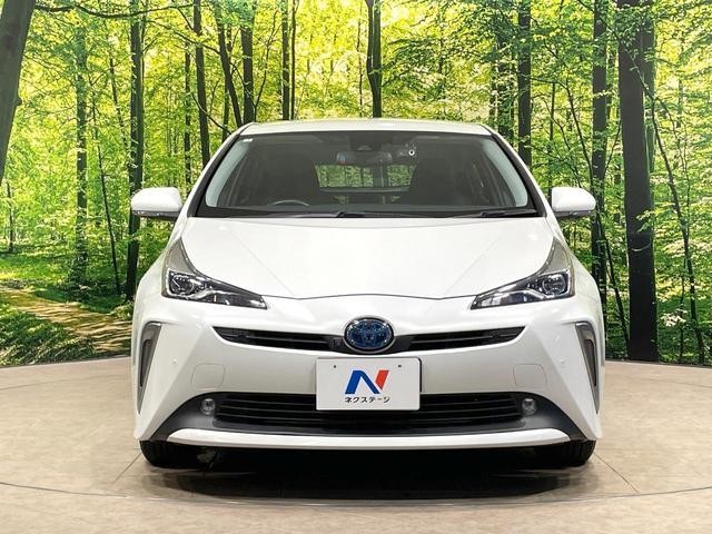 26925210_carP_l_8.jpg