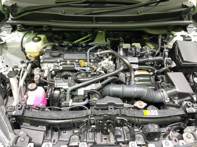 25754287_carP_l_18.jpg
