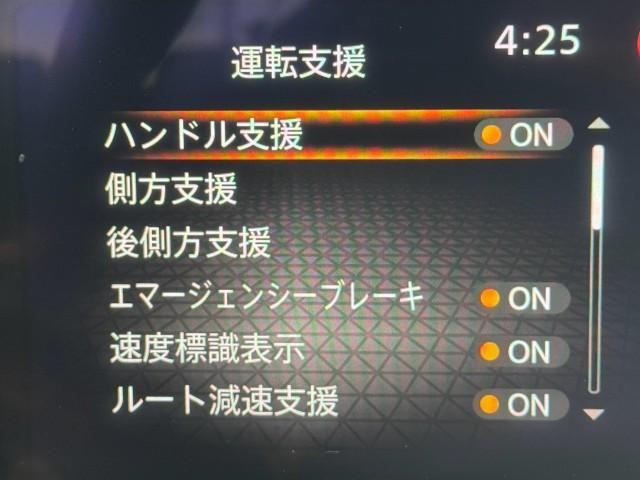 25963569_carP_l_18.jpg