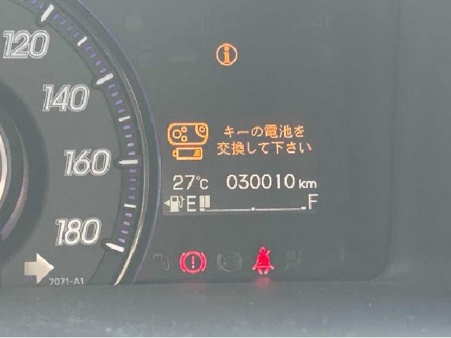 26716533_carP_l_16.jpg