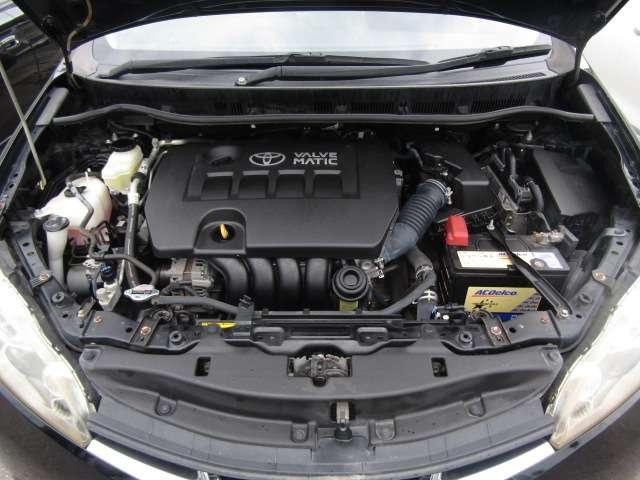 25325217_carP_l_19.jpg