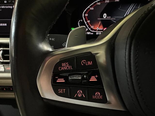 25055865_carP_l_6.jpg