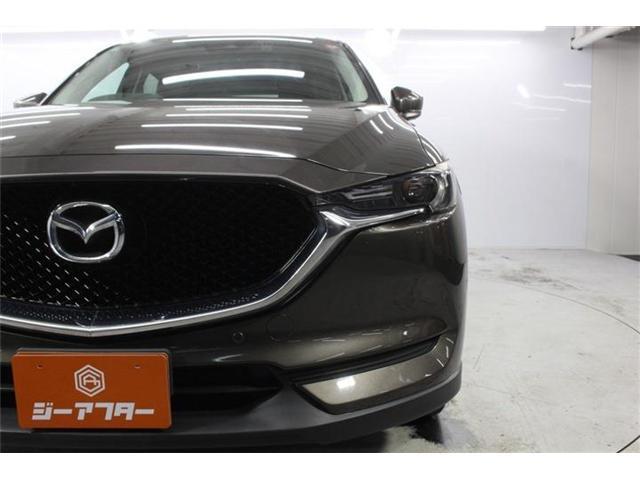 24679678_carP_l_7.jpg