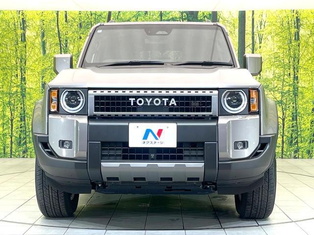 24912281_carP_l_9.jpg