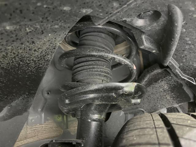 24767438_carP_l_20.jpg