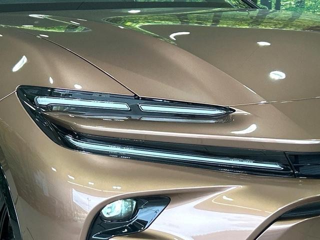 26230889_carP_l_6.jpg