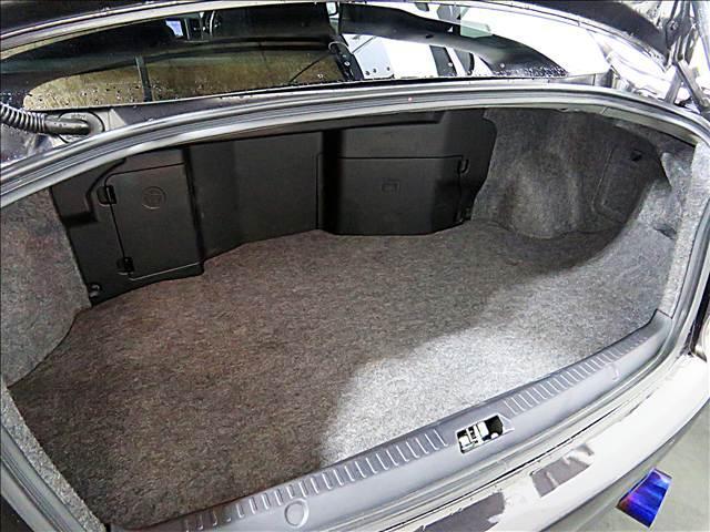 21233702_carP_l_18.jpg