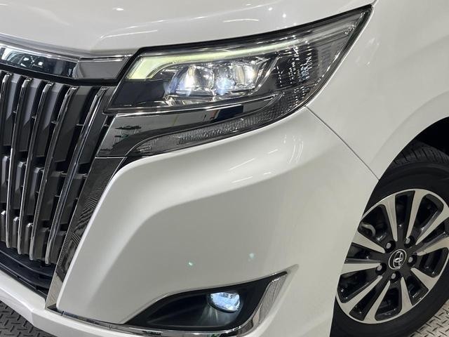 25754398_carP_l_8.jpg
