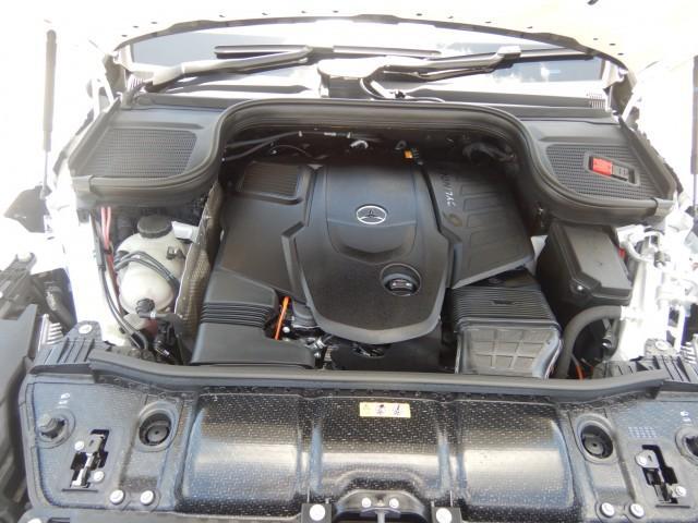 24241889_carP_l_19.jpg