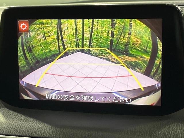 24891993_carP_l_10.jpg