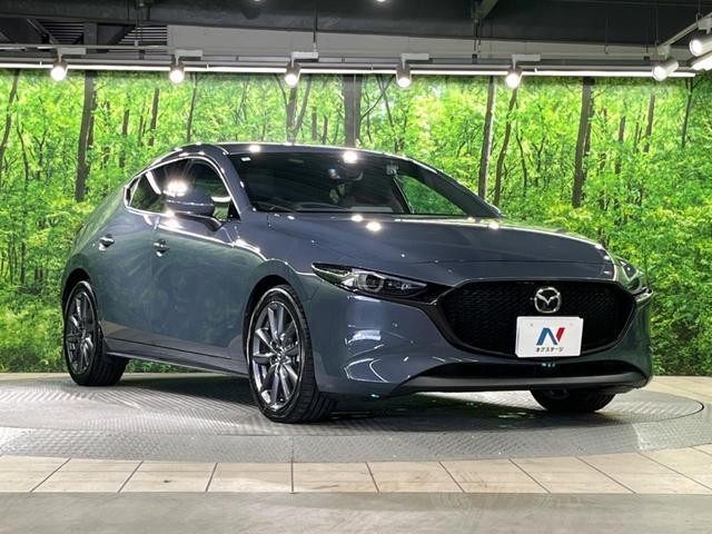 26168465_carP_l_11.jpg
