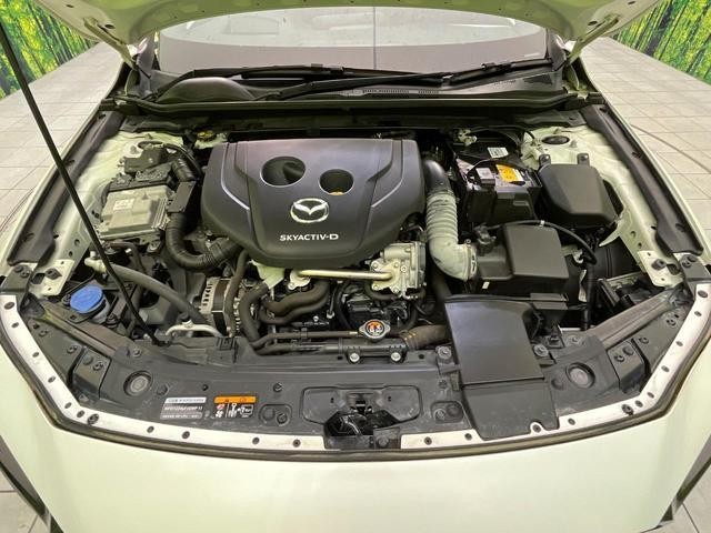 25323842_carP_l_16.jpg