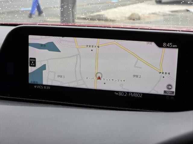 26111209_carP_l_9.jpg