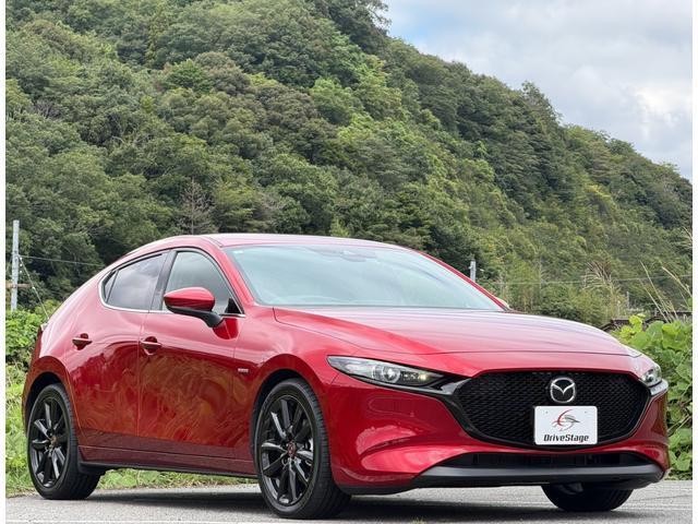 26533559_carP_l_7.jpg