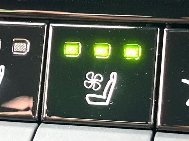 26557584_carP_l_19.jpg