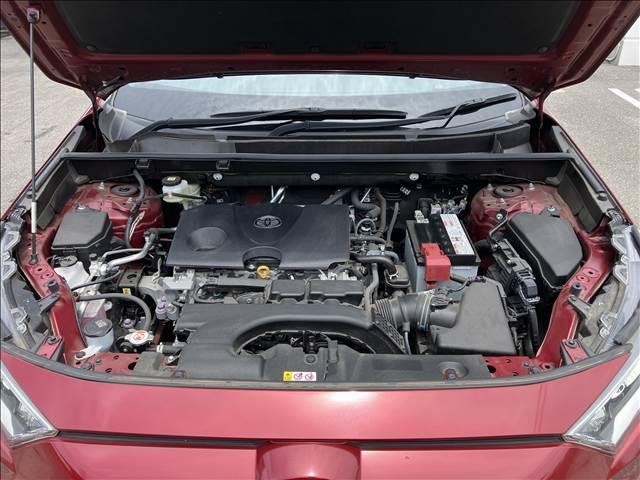 25193986_carP_l_20.jpg