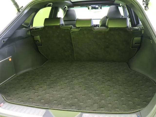 23629739_carP_l_6.jpg