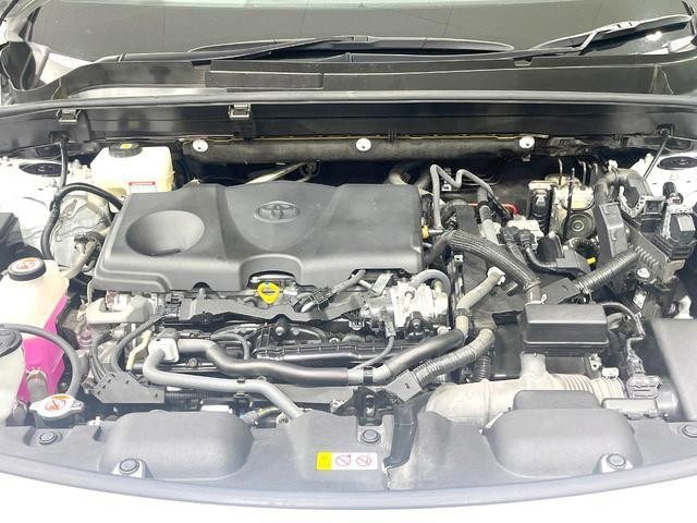 25848063_carP_l_20.jpg