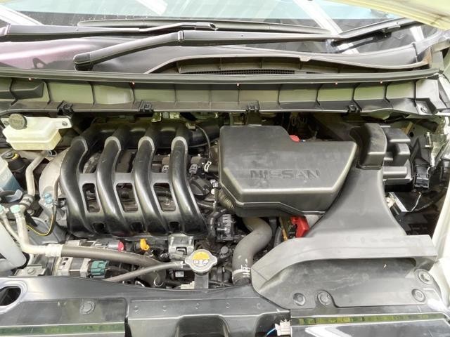 25466240_carP_l_16.jpg
