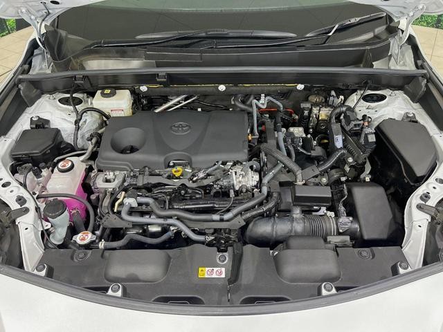 26357460_carP_l_16.jpg