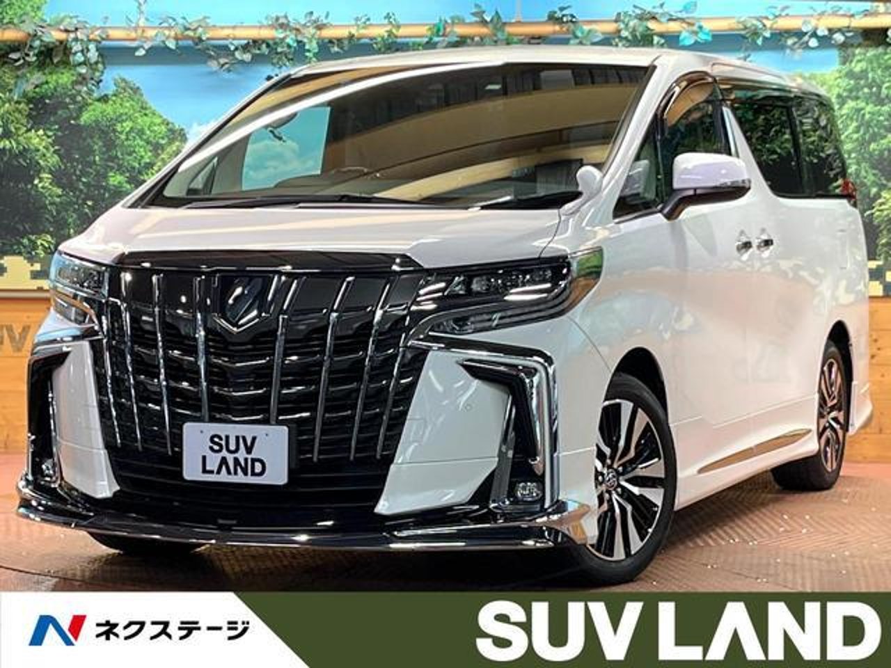 2021 Toyota Alphard, photo 1 of 1