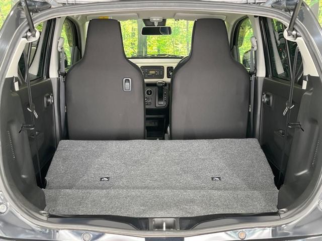 25612037_carP_l_5.jpg