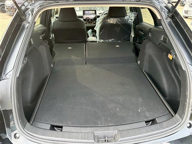23007740_carP_l_12.jpg