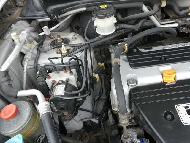 24928438_carP_l_7.jpg