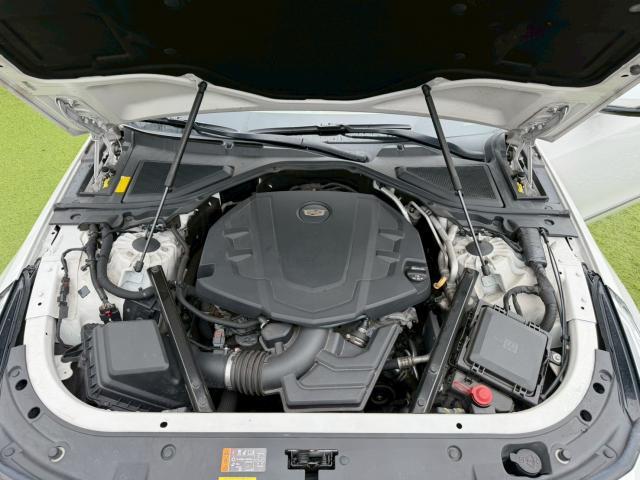 24850161_carP_l_20.jpg