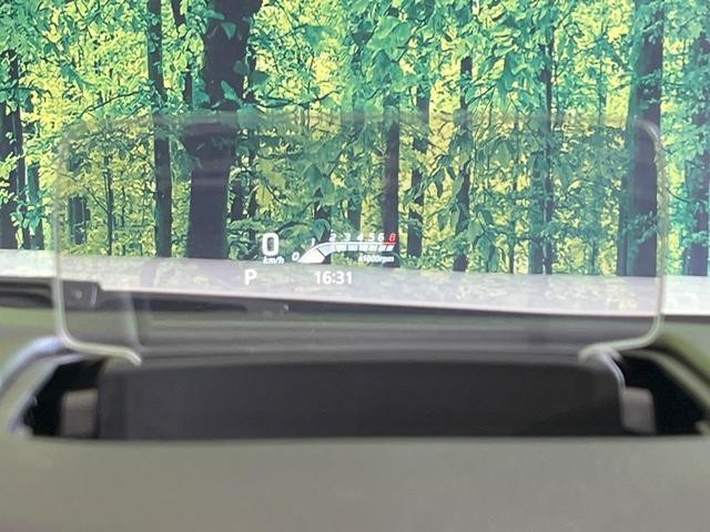 25199315_carP_l_10.jpg