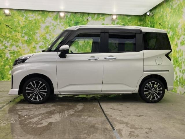24918334_carP_l_3.jpg