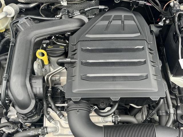 25729547_carP_l_12.jpg