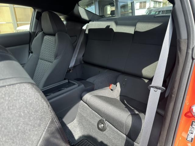 25729595_carP_l_16.jpg