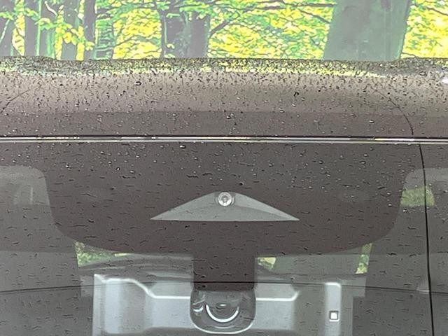26251438_carP_l_10.jpg