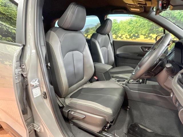 26230931_carP_l_17.jpg
