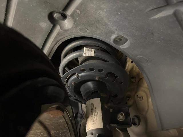 25942476_carP_l_18.jpg