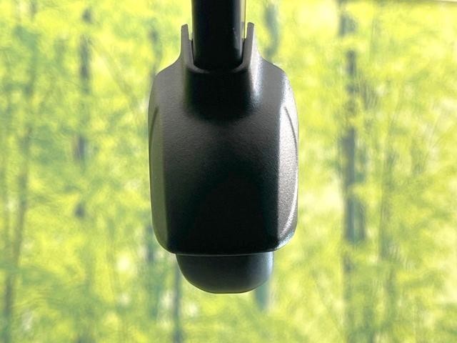 26666773_carP_l_10.jpg